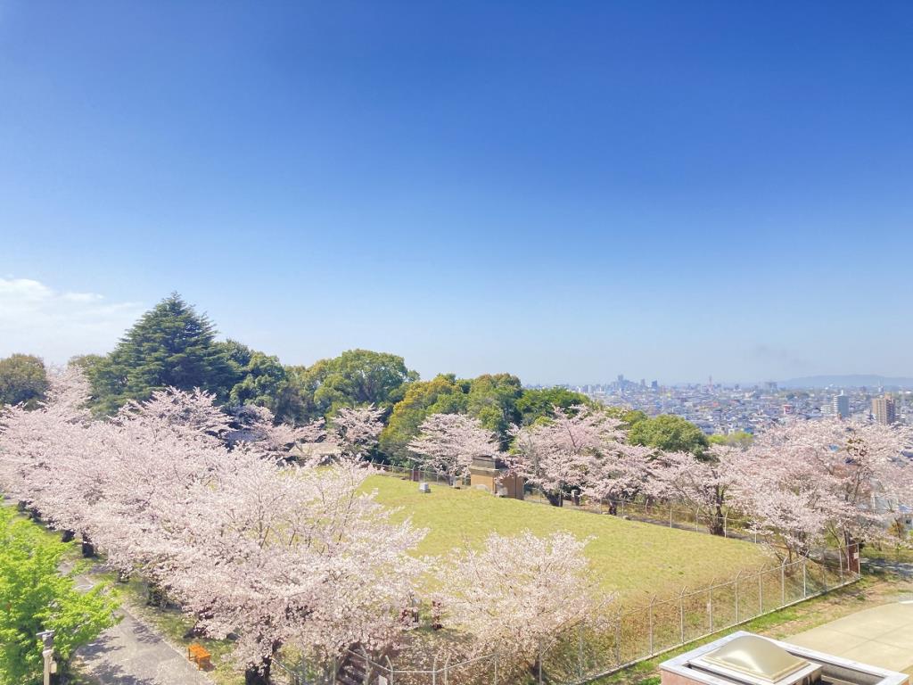 多米配水場0329　桜02