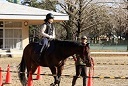 乗馬を体験する参加者 乗馬を体験する参加者