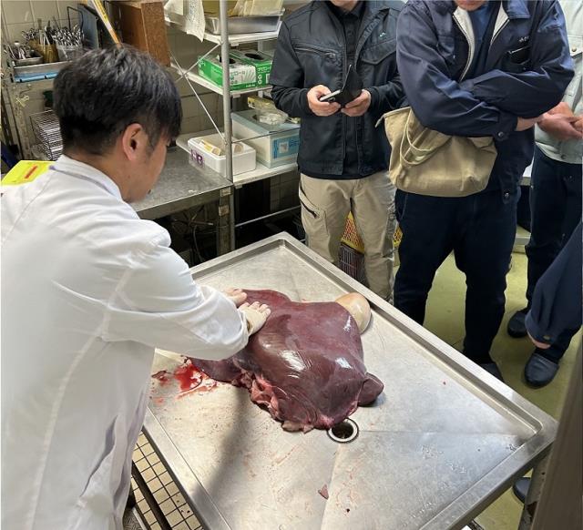 研修会の様子２