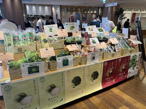 マルシェの展示