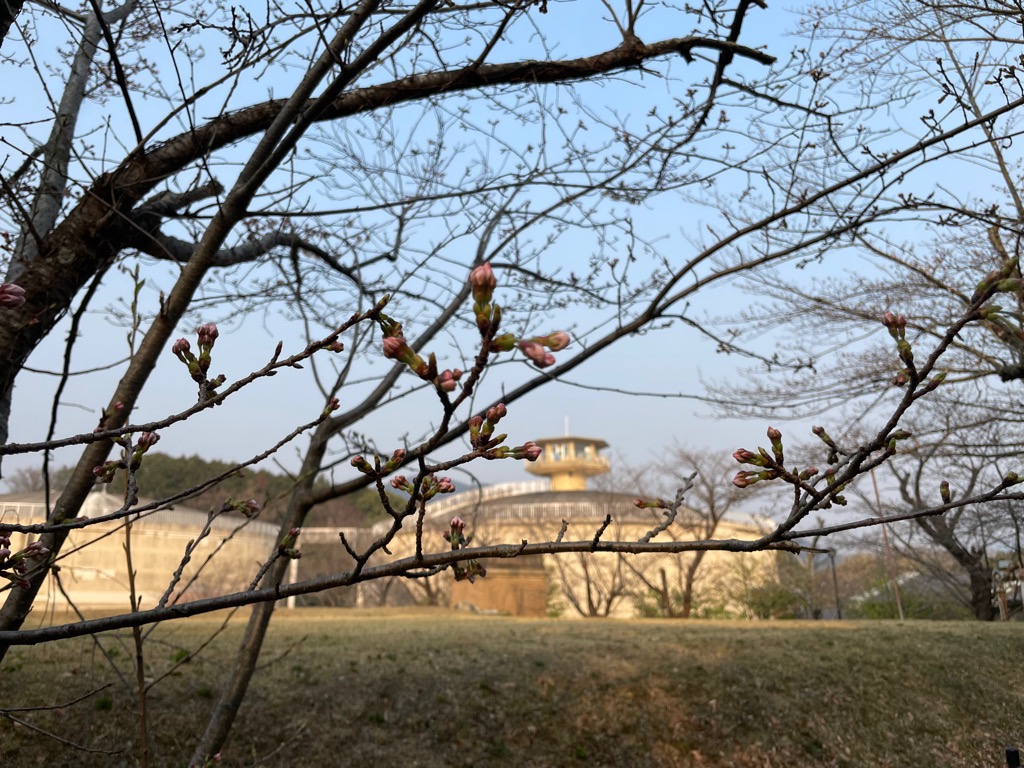 フォト