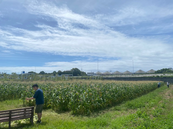morokoshi3