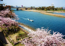 豊橋公園1 豊橋公園1