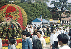 世界公園フェスティバル'95開催の写真 世界公園フェスティバル'95開催の写真