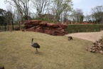 総合動植物公園「オーストラリア園」開園の写真 総合動植物公園「オーストラリア園」開園の写真