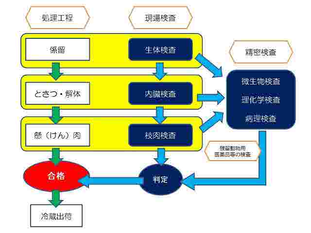 検査の流れ