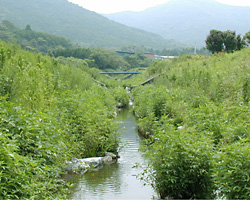 内山川施工後