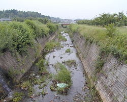 割田川着手前