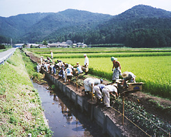 天神川1