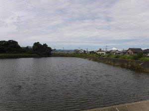 沢渡池の画像