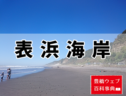 豊橋の表浜海岸