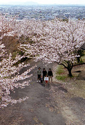 岩屋緑地