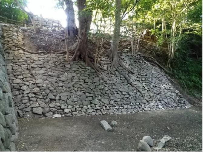 吉田城址(豊橋公園内)で新たに確認された最古級の石垣