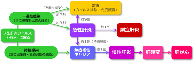 B型肝炎ウイルス感染後の流れ