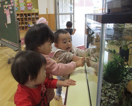 0歳児クラスの様子