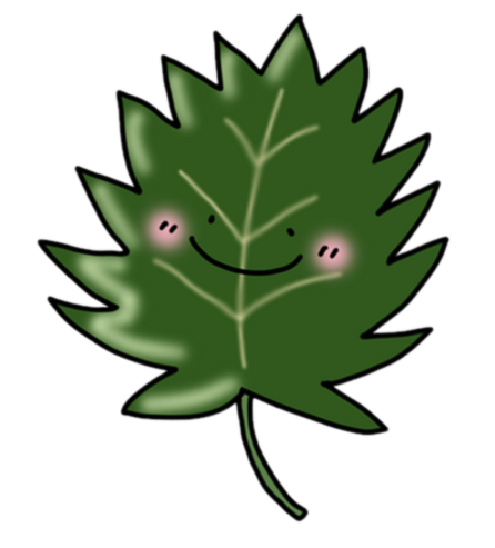 青じそ