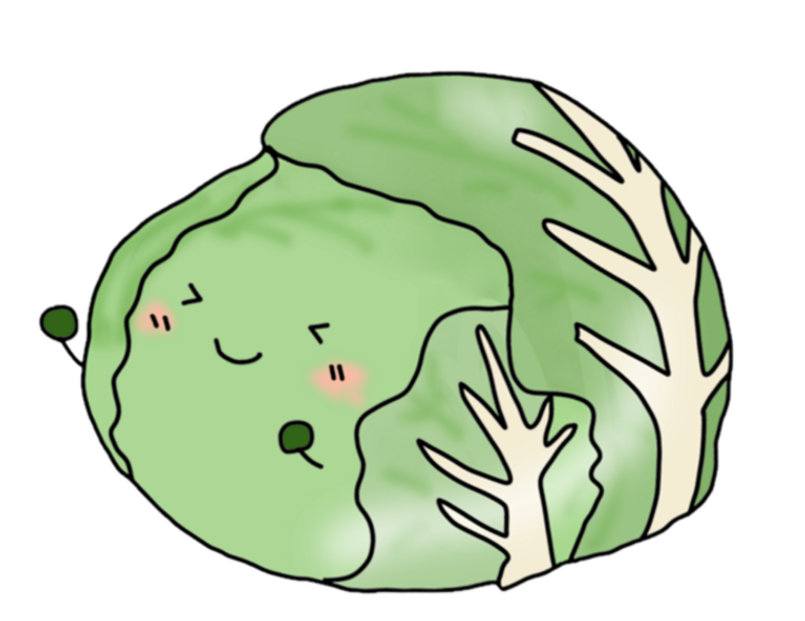 キャベツ